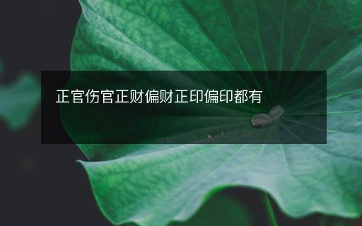 正官伤官正财偏财正印偏印都有