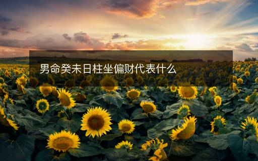 男命癸未日柱坐偏财代表什么