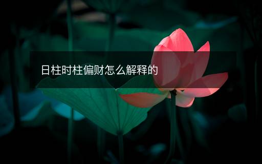 日柱时柱偏财怎么解释的