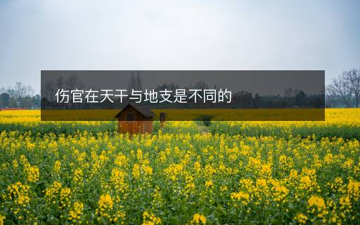 伤官在天干与地支是不同的 伤官在天干与地支是不同的