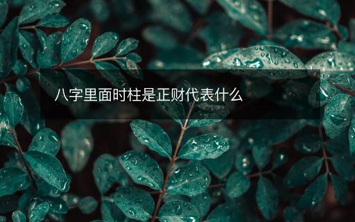 八字里面时柱是正财代表什么