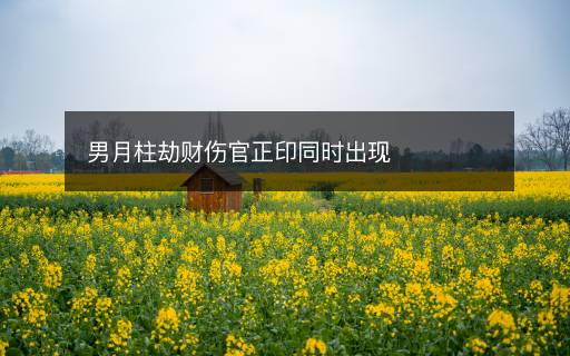 男月柱劫财伤官正印同时出现