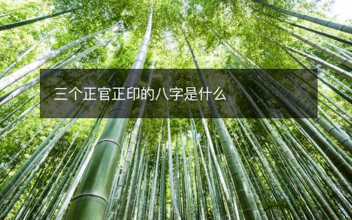 三个正官正印的八字是什么