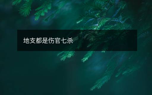 地支都是伤官七杀