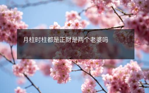 月柱时柱都是正财是两个老婆吗
