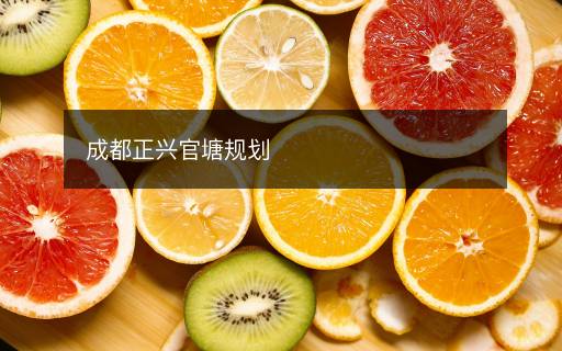 成都正兴官塘规划