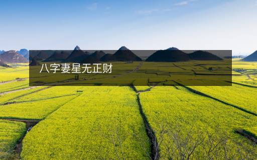 八字妻星无正财