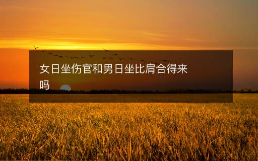 女日坐伤官和男日坐比肩合得来吗