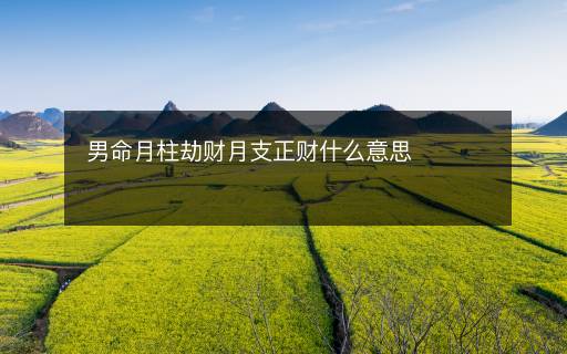 男命月柱劫财月支正财什么意思