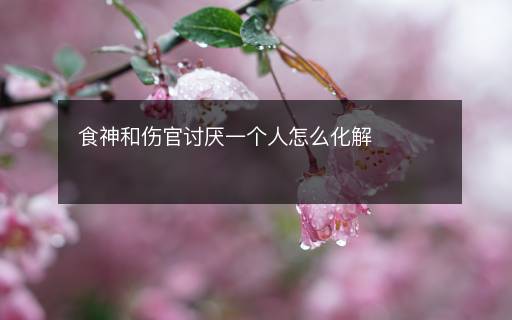 食神和伤官讨厌一个人怎么化解
