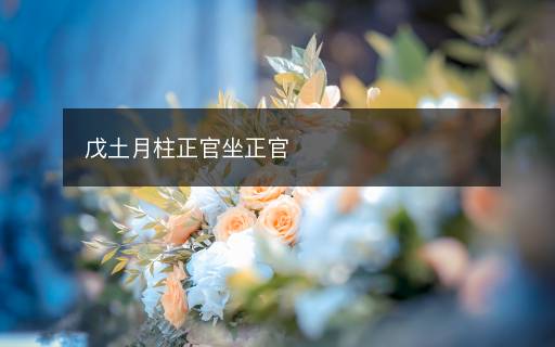 戊土月柱正官坐正官