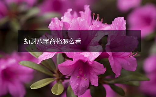 劫财八字命格怎么看
