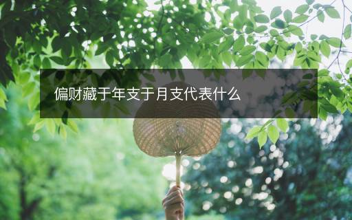 偏财藏于年支于月支代表什么