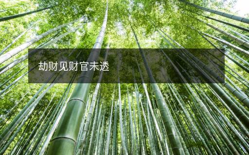 劫财见财官未透