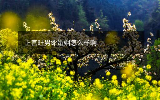 正官旺男命婚姻怎么样啊