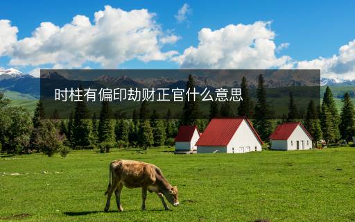 时柱有偏印劫财正官什么意思