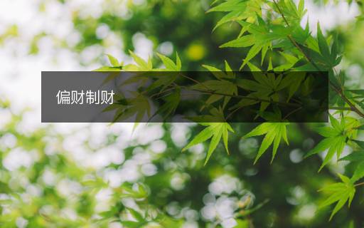 偏财制财