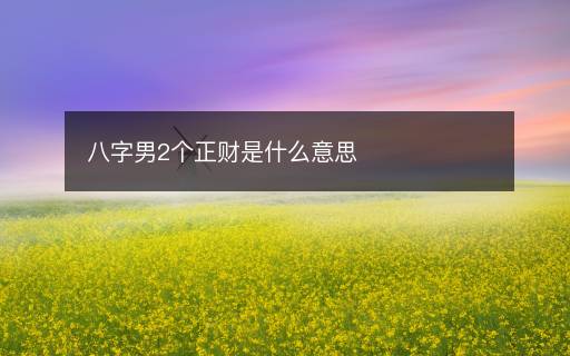 八字男2个正财是什么意思