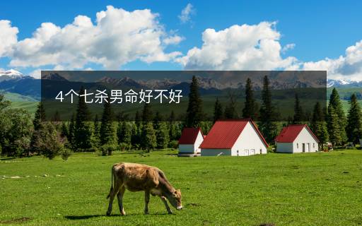 4个七杀男命好不好