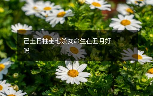己土日柱坐七杀女命生在丑月好吗