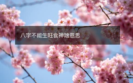 八字不能生旺食神啥意思