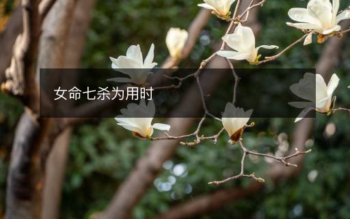 女命七杀为用时 女命七杀为用时