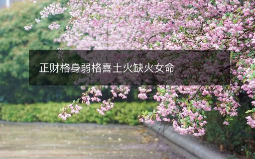 正财格身弱格喜土火缺火女命