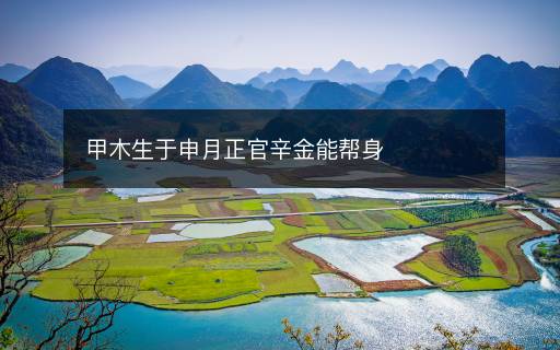 甲木生于申月正官辛金能帮身