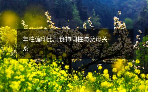 年柱偏印比肩食神同柱与父母关系