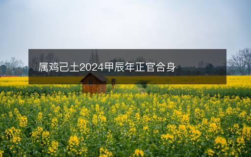 属鸡己土2024甲辰年正官合身 属鸡己土2024甲辰年正官合身