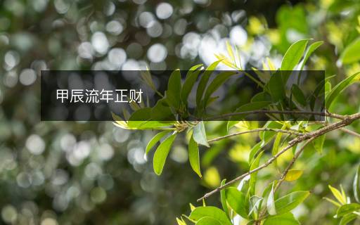 甲辰流年正财