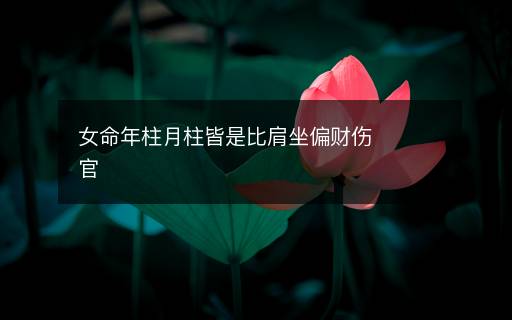女命年柱月柱皆是比肩坐偏财伤官
