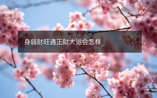 身弱财旺遇正财大运会怎样