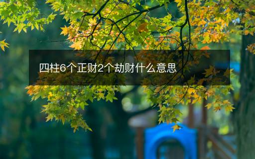 四柱6个正财2个劫财什么意思