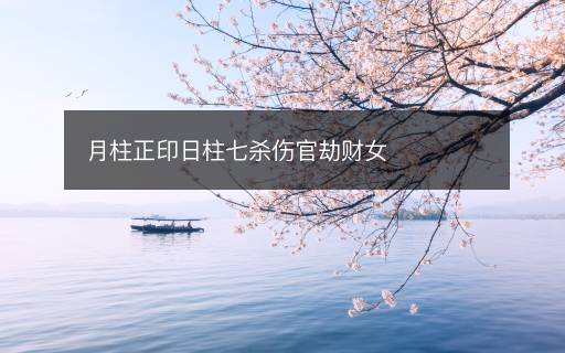 月柱正印日柱七杀伤官劫财女