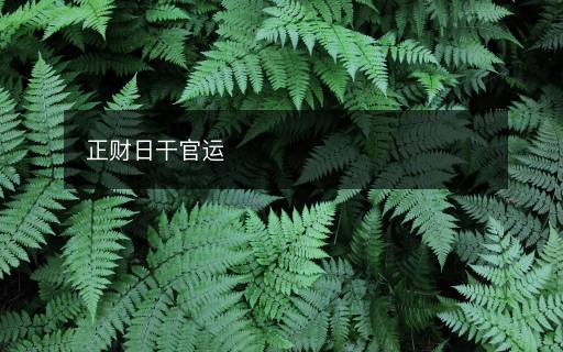 正财日干官运