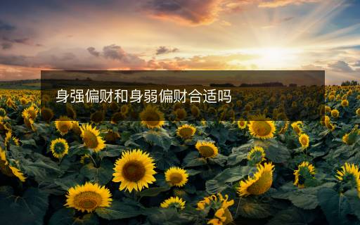 身强偏财和身弱偏财合适吗