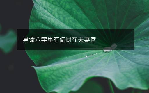 男命八字里有偏财在夫妻宫