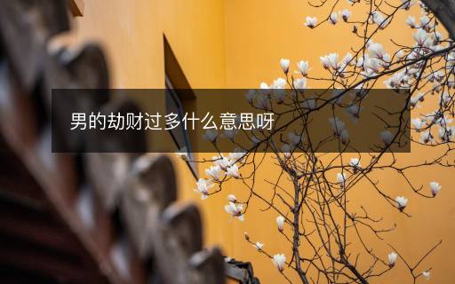 男的劫财过多什么意思呀 男的劫财过多什么意思呀