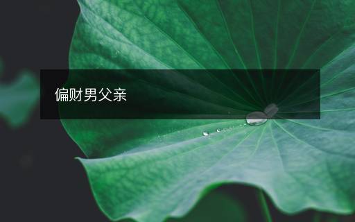 偏财男父亲