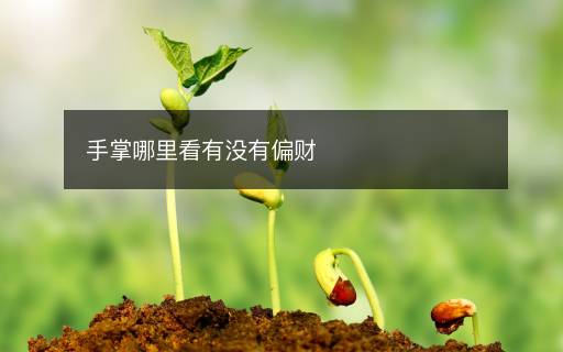 手掌哪里看有没有偏财