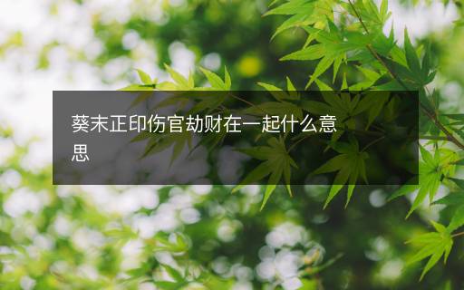 葵末正印伤官劫财在一起什么意思