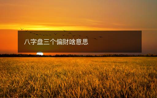 八字盘三个偏财啥意思