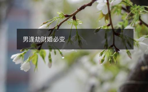 男逢劫财婚必变