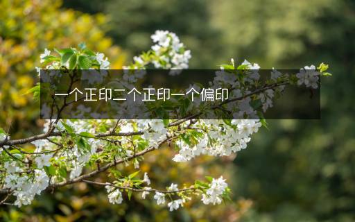 一个正印二个正印一个偏印