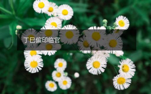 丁巳偏印临官