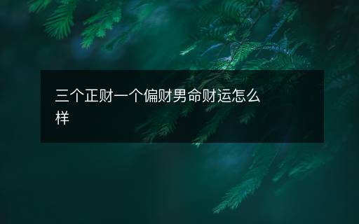 三个正财一个偏财男命财运怎么样