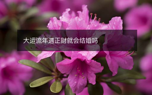 大运流年遇正财就会结婚吗