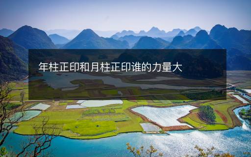 年柱正印和月柱正印谁的力量大 年柱正印和月柱正印谁的力量大