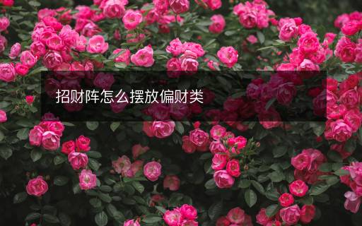 招财阵怎么摆放偏财类